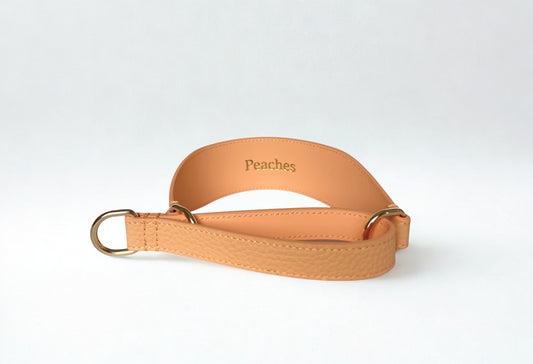 Leather Martingale Collar